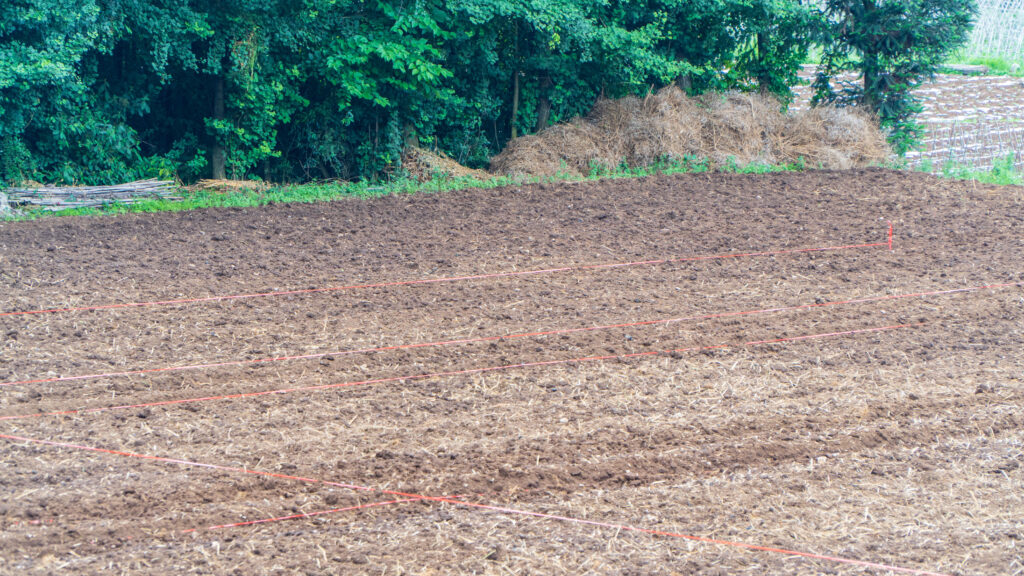 A corn field in a village of Kweichow