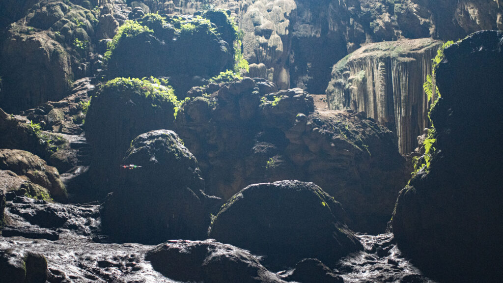 Under the Lotus Cave